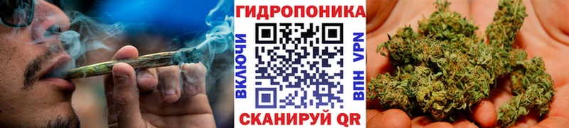 Виды наркотиков купить Прохладный КОКАИН  ГАШ  OMG ссылка  Канабис 