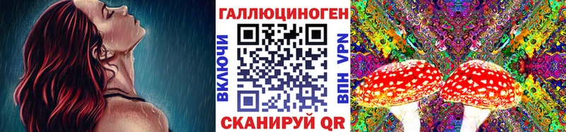 Псилоцибиновые грибы MAGIC MUSHROOMS blacksprut маркетплейс Прохладный