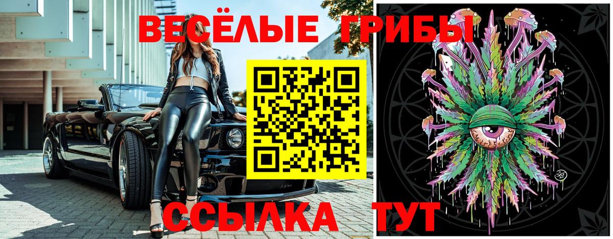 Прохладный  Галлюциногенные грибы Psilocybine cubensis  Вход с VPN 