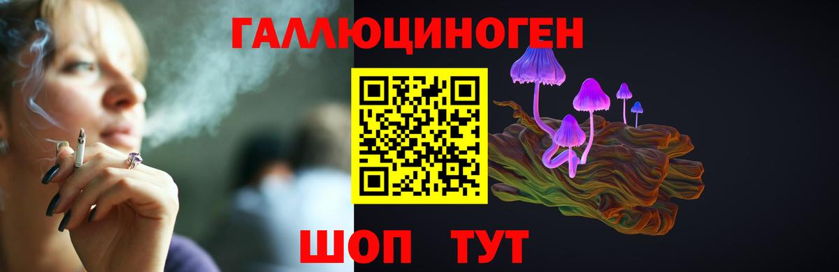 Галлюциногенные грибы GOLDEN TEACHER Прохладный